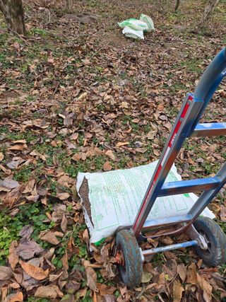 박영애님의 기타작물 · 영농일지 작성글 사진