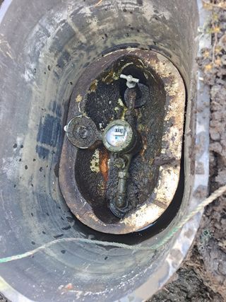 김경식님의 기타작물 · 영농일지 작성글 사진