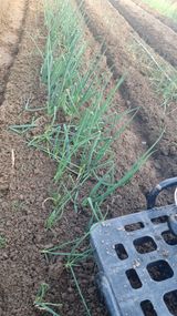 태승오정리님의 작성글 사진