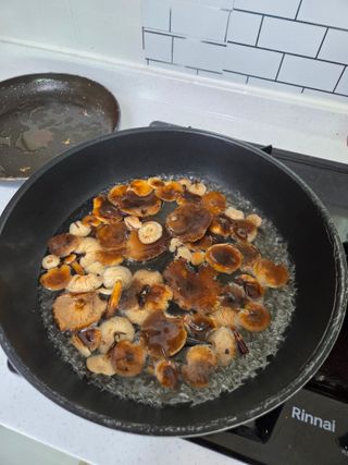 김영옥님의 기타작물 · 영농일지 작성글 사진