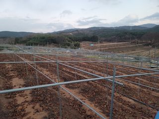 이용찬 열매마농원님의 기타작물 · 영농일지 작성글 사진