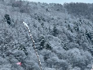 이익수님의 기타작물 · 영농일지 작성글 사진