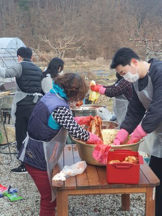 무상(無常)님의 배추 · 영농일지 작성글 사진