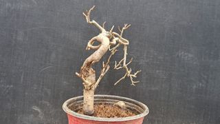 이정운님의 기타작물 · 영농일지 작성글 사진