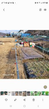 팜모닝 콩·영농일지 게시글 이미지