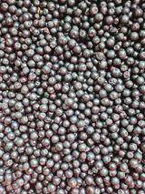 팜모닝 기타작물·영농일지 게시글 이미지