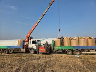 안광일 님의 딸기 · 영농일지 작성글 사진