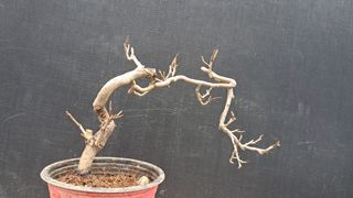 이정운님의 기타작물 · 영농일지 작성글 사진