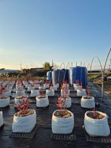 박영희님의 작성글 사진