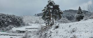 장두원님의 기타작물 · 영농일지 작성글 사진