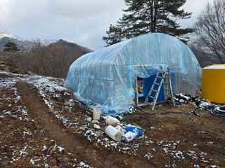 서보석님의 두릅 · 영농일지 작성글 사진
