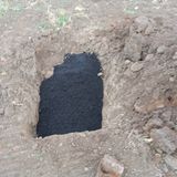 팜모닝 기타작물·영농일지 게시글 이미지