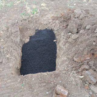 김건우님의 기타작물 · 영농일지 작성글 사진