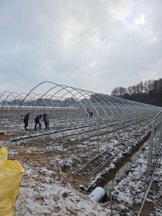 홍성규 님의 기타작물 · 영농일지 작성글 사진
