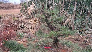 이정운님의 기타작물 · 영농일지 작성글 사진