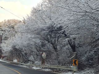 이강수님의 기타작물 · 영농일지 작성글 사진