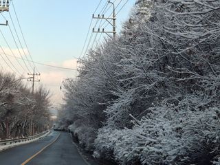 이강수님의 기타작물 · 영농일지 작성글 사진