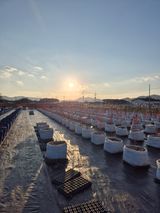 박영희님의 작성글 사진