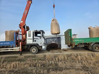 안광일 님의 작성글 사진