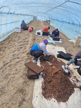 병풍취산채농원님의 기타작물 · 영농일지 작성글 사진