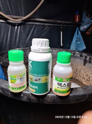 딱따구리님의 기타작물 · 영농일지 작성글 사진