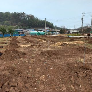 김건우님의 기타작물 · 영농일지 작성글 사진