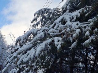 이강수님의 기타작물 · 영농일지 작성글 사진