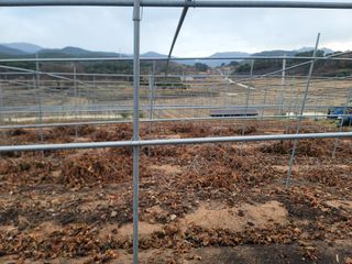 이용찬 열매마농원님의 기타작물 · 영농일지 작성글 사진