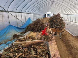 노경자님의 콩 · 영농일지 작성글 사진