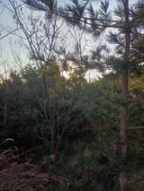 팜모닝 기타작물·영농일지 게시글 이미지