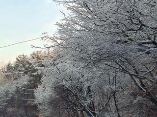 이강수님의 기타작물 · 영농일지 작성글 사진