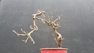 이정운님의 기타작물 · 영농일지 작성글 사진