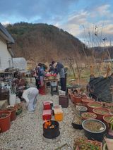 팜모닝 배추·영농일지 게시글 이미지