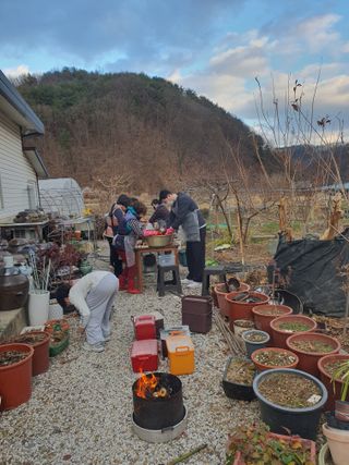 무상(無常)님의 배추 · 영농일지 작성글 사진