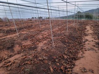 이용찬 열매마농원님의 기타작물 · 영농일지 작성글 사진