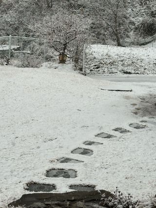 이익수님의 기타작물 · 영농일지 작성글 사진