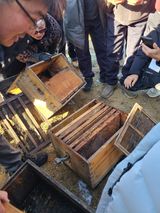 팜모닝 기타작물·영농일지 게시글 이미지