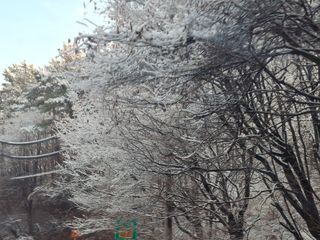 이강수님의 기타작물 · 영농일지 작성글 사진