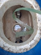 팜모닝 기타작물·영농일지 게시글 이미지