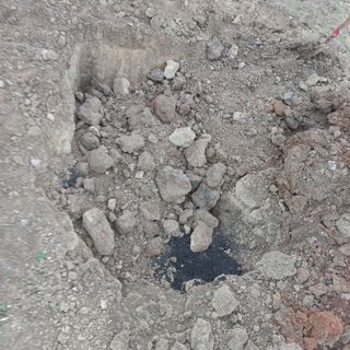 김건우님의 기타작물 · 영농일지 작성글 사진