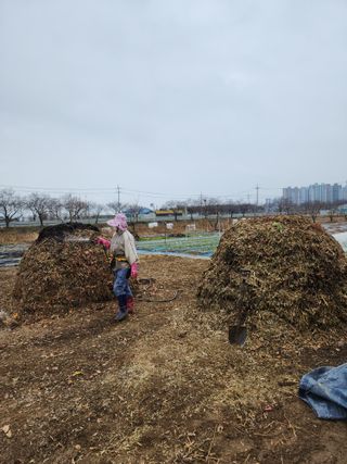 조정구님의 기타작물 · 영농일지 작성글 사진