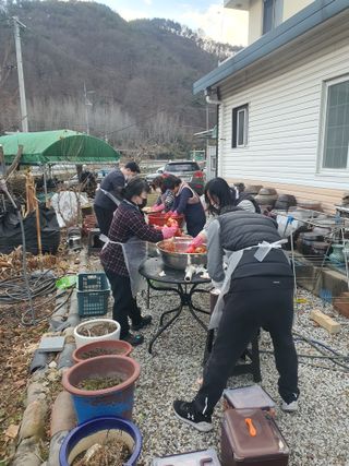 무상(無常)님의 배추 · 영농일지 작성글 사진