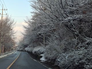이강수님의 기타작물 · 영농일지 작성글 사진