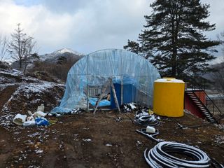 서보석님의 두릅 · 영농일지 작성글 사진