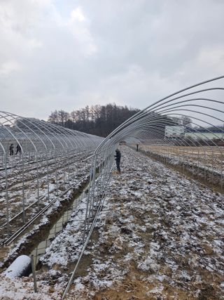 홍성규 님의 기타작물 · 영농일지 작성글 사진