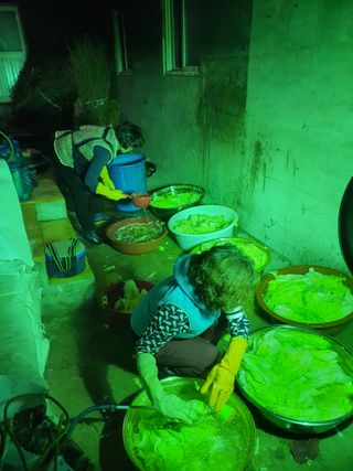 무상(無常)님의 배추 · 영농일지 작성글 사진