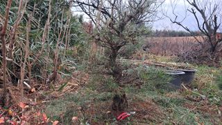 이정운님의 기타작물 · 영농일지 작성글 사진