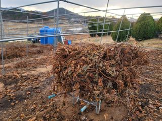 이용찬 열매마농원님의 기타작물 · 영농일지 작성글 사진