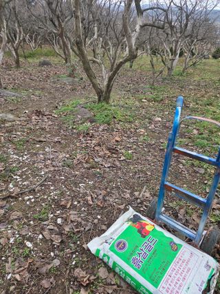 박영애님의 기타작물 · 영농일지 작성글 사진
