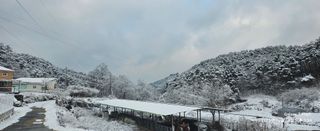 장두원님의 기타작물 · 영농일지 작성글 사진